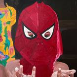 Spidey & Co. by Ann DeVito