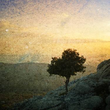 Original Landscape Photography by Boris Novak