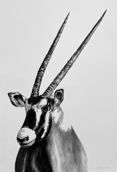 Oryx thumb
