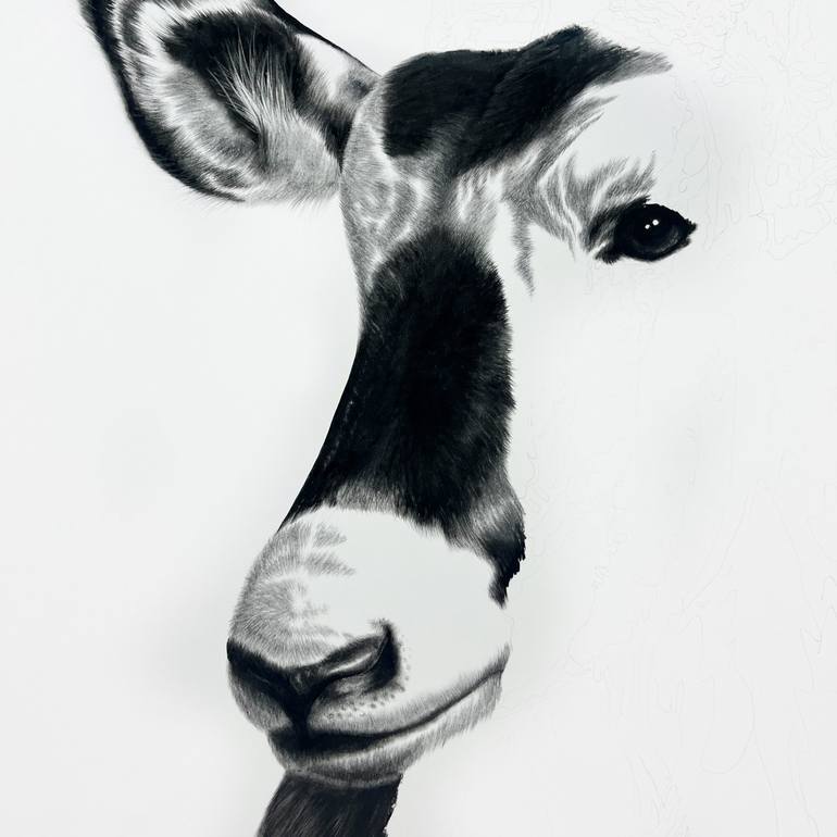 Original Realism Animal Drawing by Ira van der Merwe