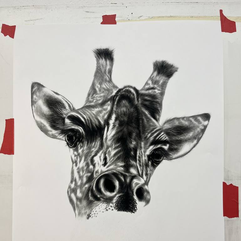 Original Realism Animal Drawing by Ira van der Merwe