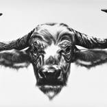 Ou Buffel by Ira van der Merwe