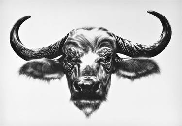 Original Realism Animal Drawing by Ira van der Merwe