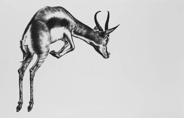 Original Animal Drawings by Ira van der Merwe