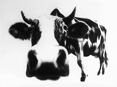 Print of Realism Animal Drawings by Ira van der Merwe