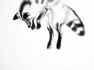 Print of Figurative Animal Drawings by Ira van der Merwe