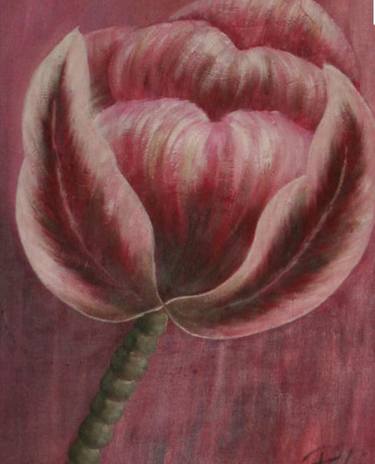 Pink tulip thumb