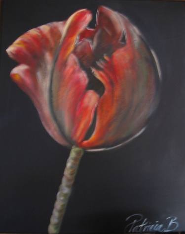 Print of Figurative Floral Paintings by Patricia Barkman