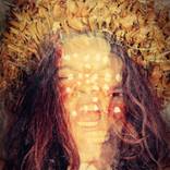 Collection Sydney Holiday Edit