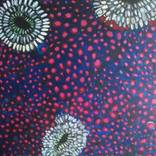 Inner Cellular World by salima raoui