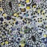 Cell5 by salima raoui