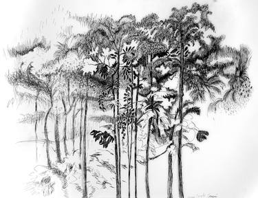Print of Tree Drawings by Chantal Coupri