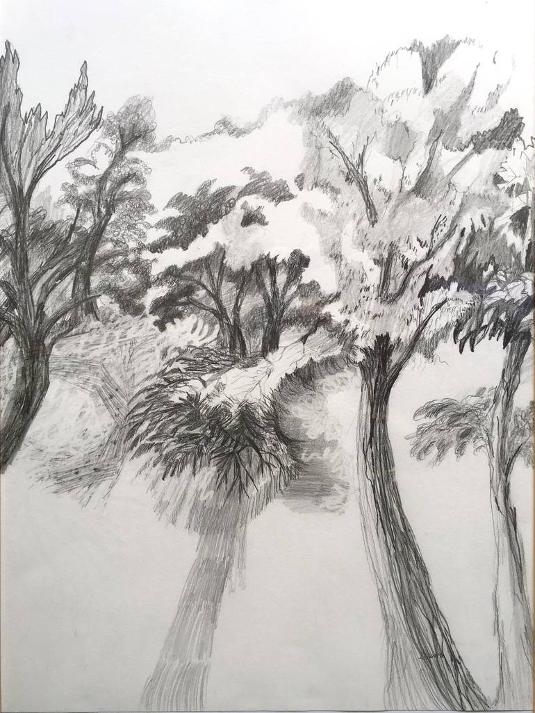 Original Figurative Tree Drawing by Chantal Coupri