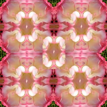 Print of Abstract Floral Collage by Heather Bolton