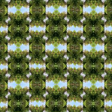 Print of Abstract Geometric Photography by Heather Bolton