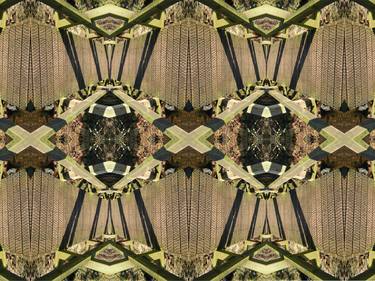 Print of Conceptual Patterns Photography by Heather Bolton