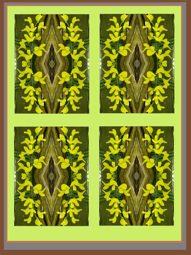 Laburnum Window No 1 thumb