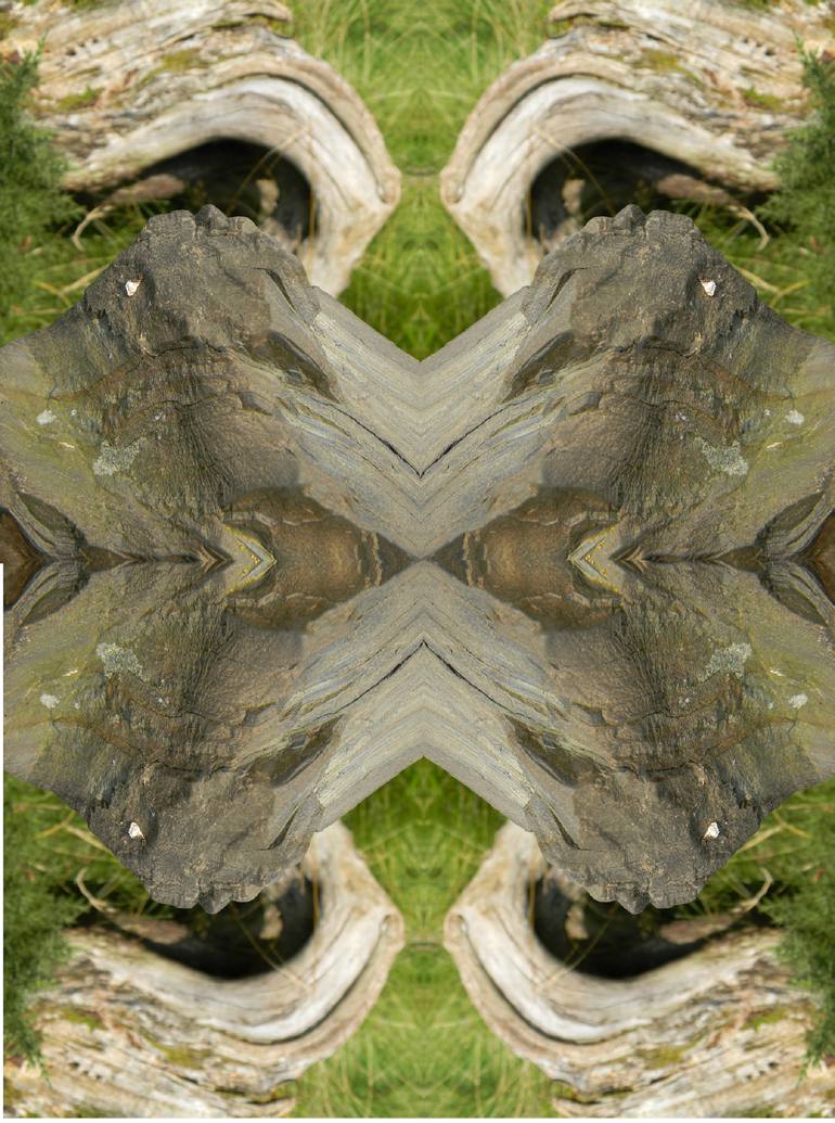 Original Conceptual Nature Photography by Heather Bolton