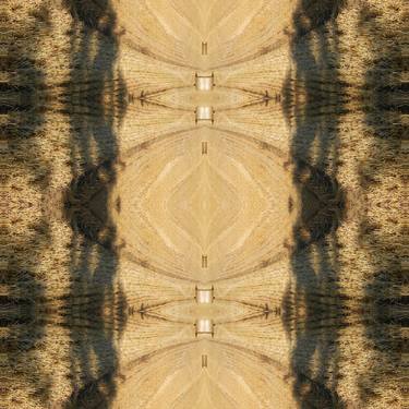 Print of Conceptual Patterns Photography by Heather Bolton