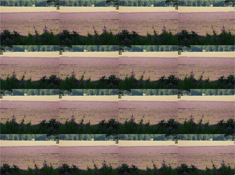 Original Expressionism Landscape Photography by Heather Bolton