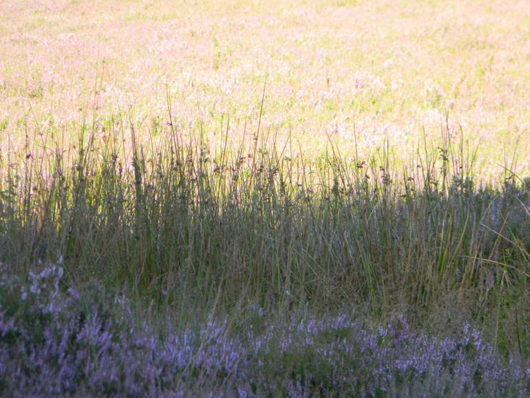 Original Expressionism Botanic Photography by Heather Bolton