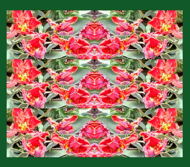 Original Expressionism Floral Photography by Heather Bolton