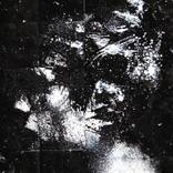 Head of Peter 1 by Harry Simmonds