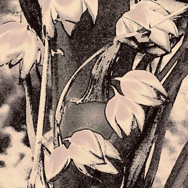 Print of Impressionism Botanic Photography by Dean Lee Uhlinger