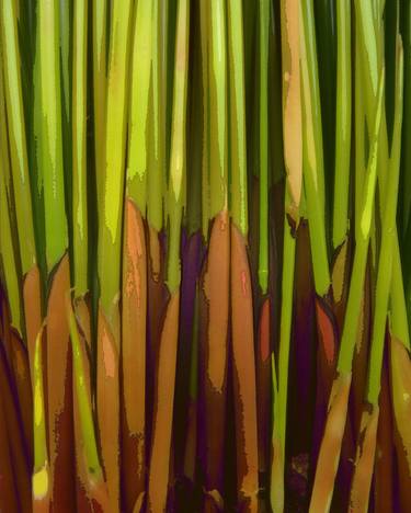 Print of Abstract Botanic Photography by Dean Lee Uhlinger