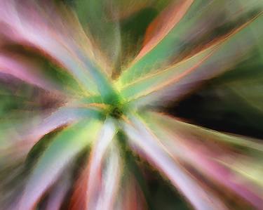 Print of Impressionism Botanic Photography by Dean Lee Uhlinger