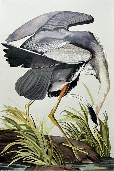 Blue Heron (after Audubon) thumb