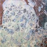 Pompei I - 5 of 10 Limited Edition Photograph by Gina Parr