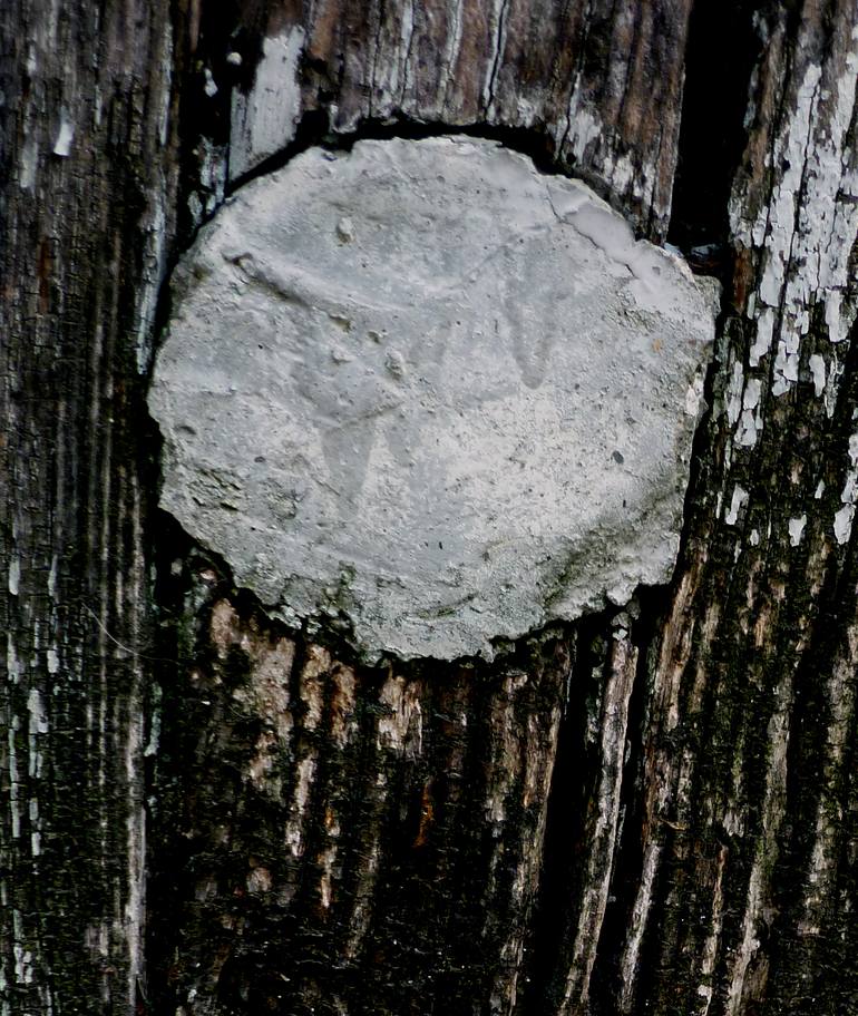 Original Abstract Landscape Photography by Gina Parr