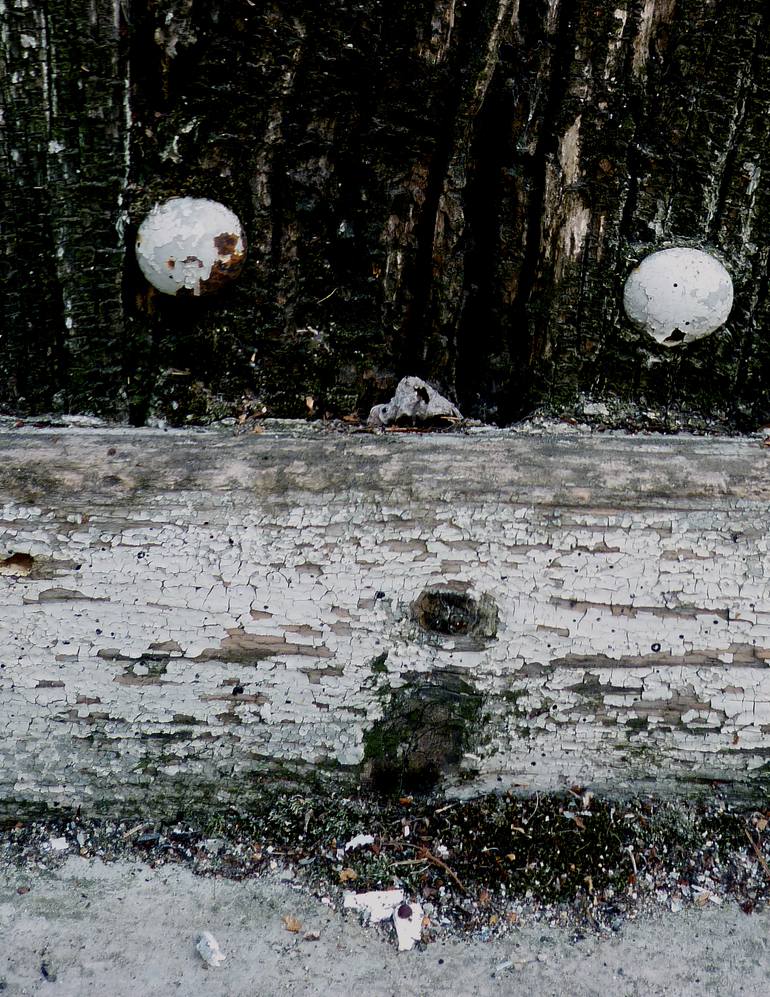 Original Abstract Landscape Photography by Gina Parr