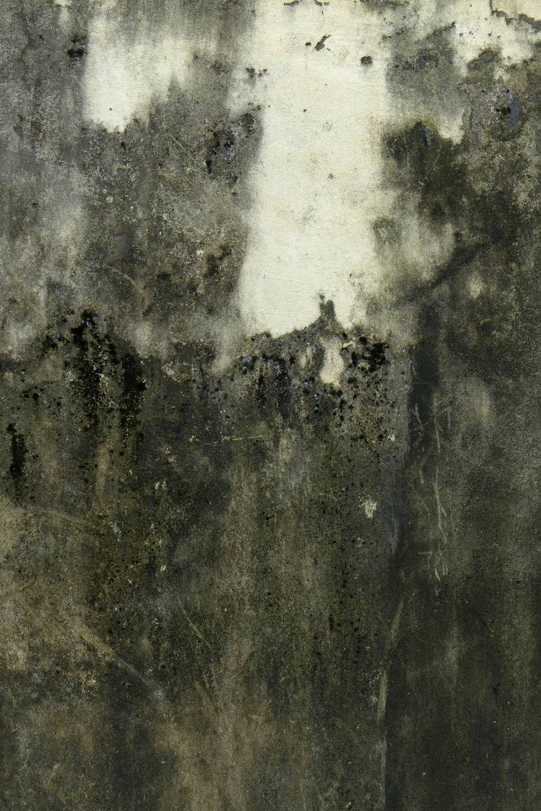 Print of Abstract Landscape Photography by Gina Parr