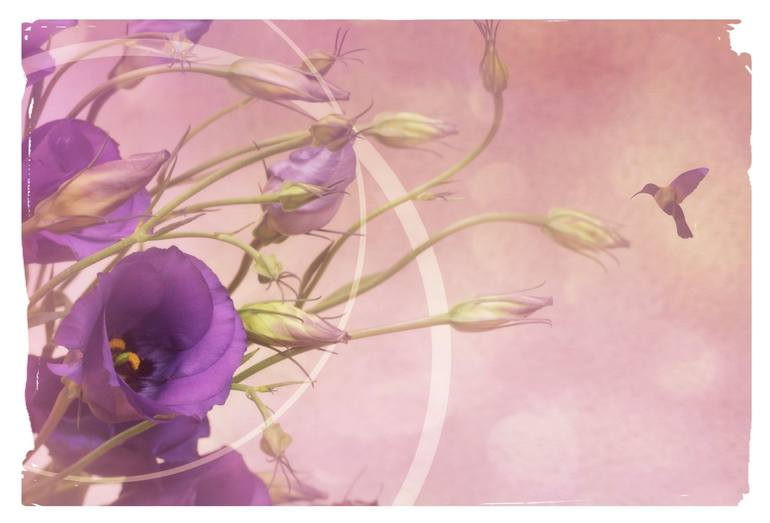 Mothers Love Photography by Laura Ashford Saatchi Art