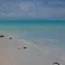 oil on a top quality hand stretched linen canvas
sides - raw linen
inspired by the beauty of Zanzibar, sandy beaches and turquoise water