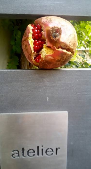 Pomegranate # la vigna atelier - Limited Edition 1 of 1 thumb