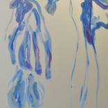Collection Magic Blue