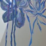 Collection Magic Blue