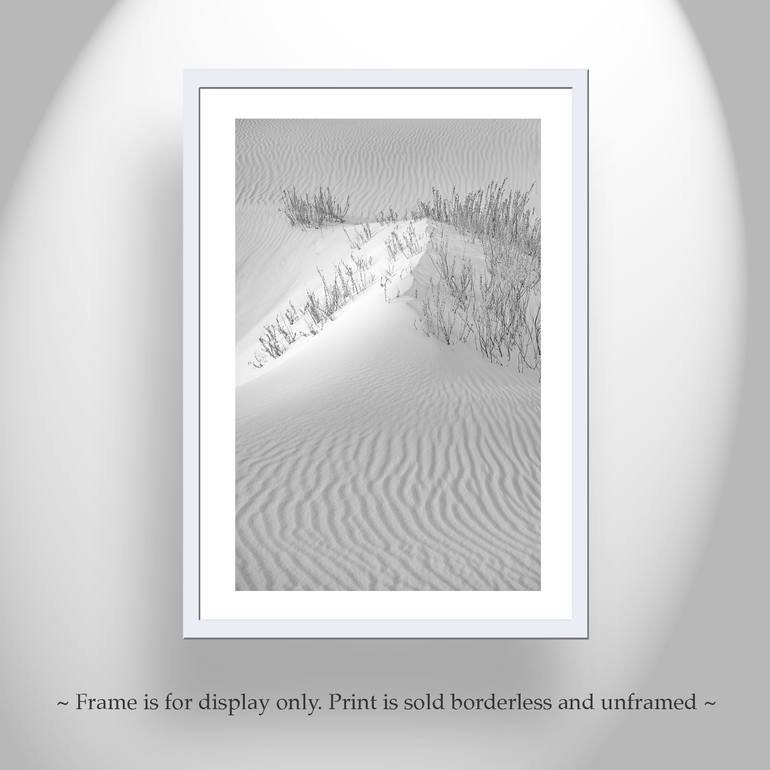 Original Abstract Landscape Photography by Murray Bolesta