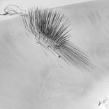Collection Gypsum Dune series