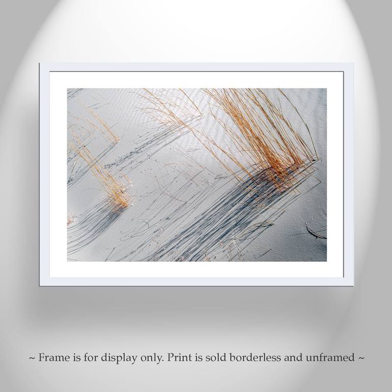 Original Abstract Nature Photography by Murray Bolesta