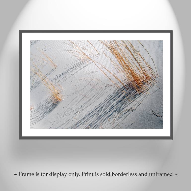 Original Abstract Nature Photography by Murray Bolesta