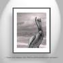 "Sea Pelican" California Seashore!
