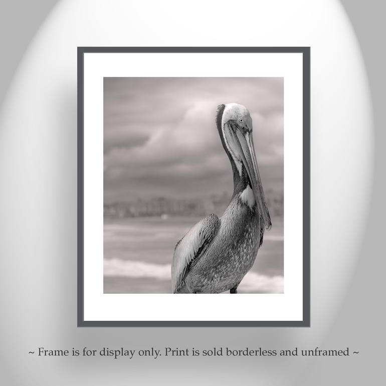 Original Impressionism Animal Photography by Murray Bolesta