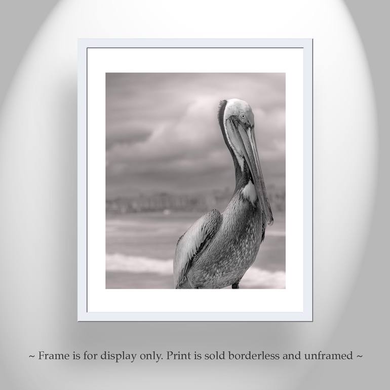 Original Impressionism Animal Photography by Murray Bolesta