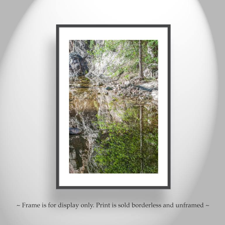 Original Impressionism Nature Photography by Murray Bolesta