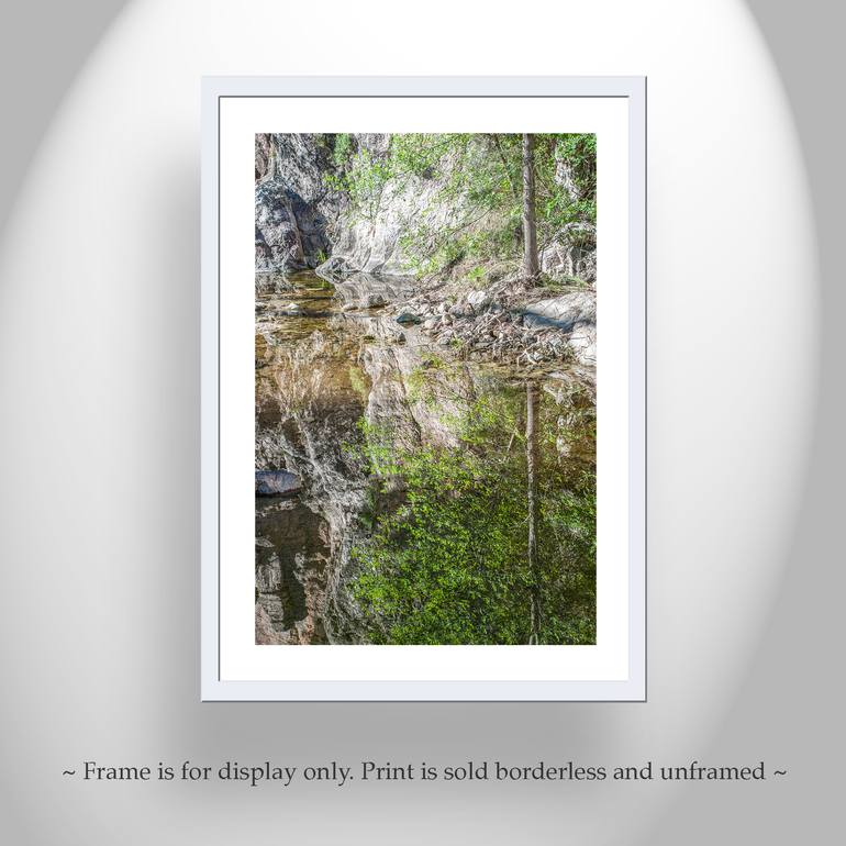 Original Impressionism Nature Photography by Murray Bolesta