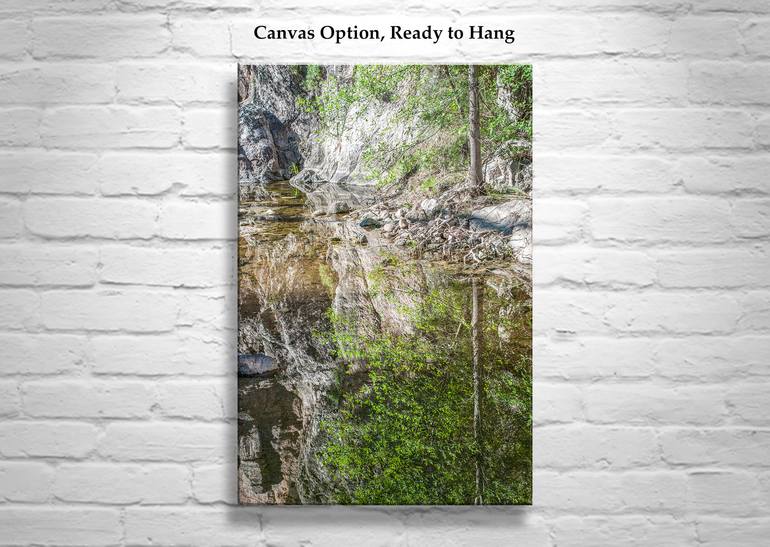 Original Impressionism Nature Photography by Murray Bolesta